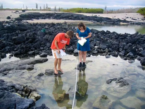 Ecotourism Management Volunteer Program