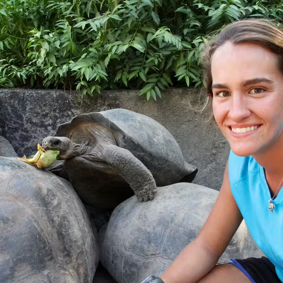 Sea Turtle Conservation Volunteer Program 