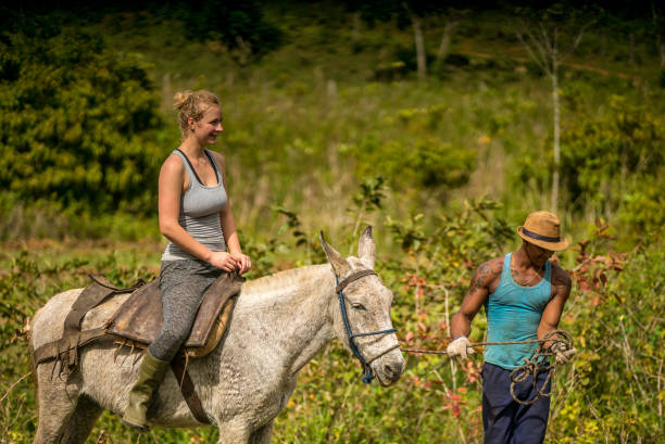 Equine & Wildlife Programme - South Africa