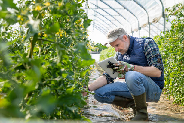 Sustainable Farming in Italy: Growing Organic for a Better Future