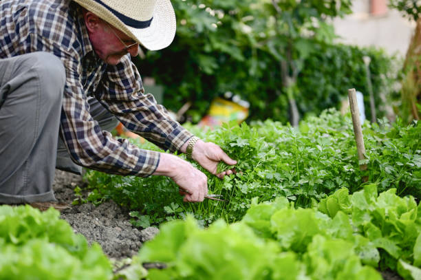 Sustainable Farming in Italy: Growing Organic for a Better Future