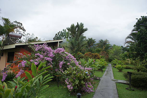Accommodation and Living Arrangements