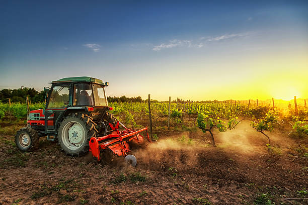 https://meaningful.travel/sustainable-farming-social-innovation-italy