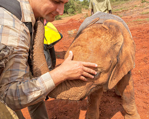 Volunteering with Elephants in Africa