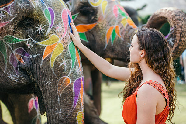 Elephants