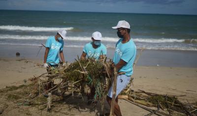 Volunteers in beachs