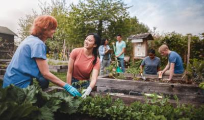 Cultivating Sustainability: Volunteering in Sustainable Farming and Urban Agriculture in Ecuador