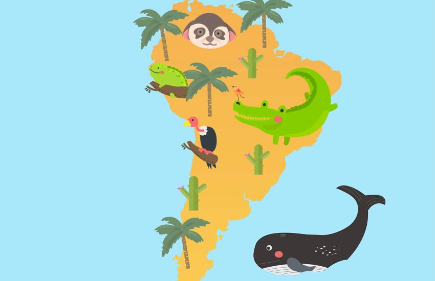 Exploring South America A Journey into Wildlife Conservation 