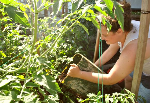 A volunteer working on the farm