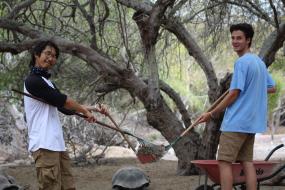 Volunteers in the tortoise center