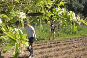 Sustainable Farming-Rome