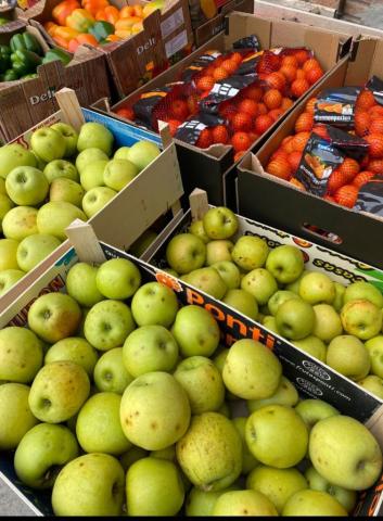 Food Rescue - Spain