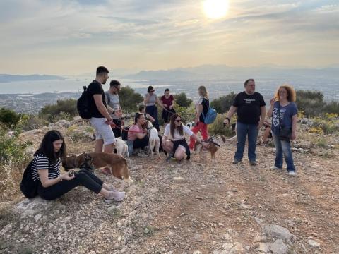 Animal Care Program - Greece