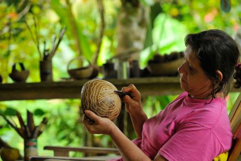 Organic Farming Program - Costa Rica