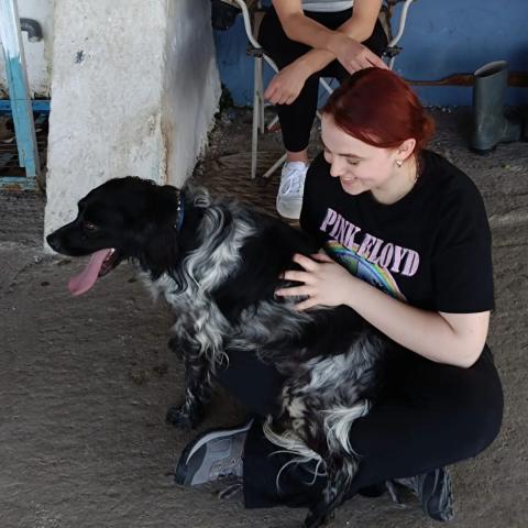 Volunteer Program for Spanish Animal Care