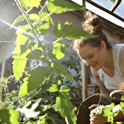 Sustainable Farming &amp; Urban Agriculture Program - Ecuador