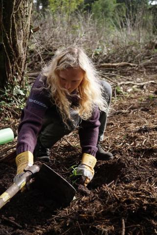 Forest Conservation Project - Portugal