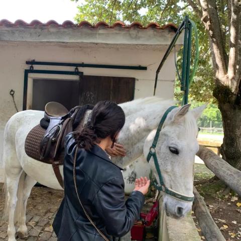 Portugal&#039;s Conservation Project: Horse Patrols &amp; Environmental Protection