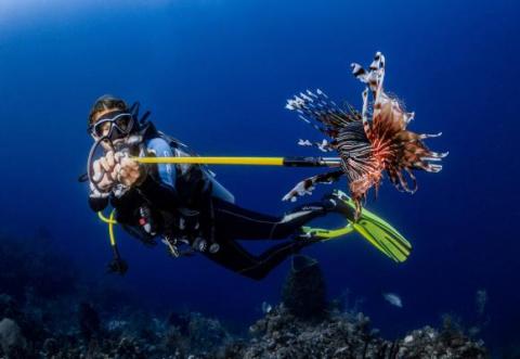 Invasive Species Management Project - Belize