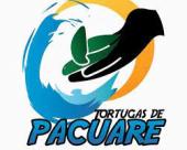 Tortugasdepacuare