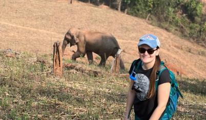  Kindred Spirit Elephant Sanctuary