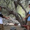 Volunteers in the tortoise center