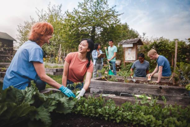 Cultivating Sustainability: Volunteering in Sustainable Farming and Urban Agriculture in Ecuador