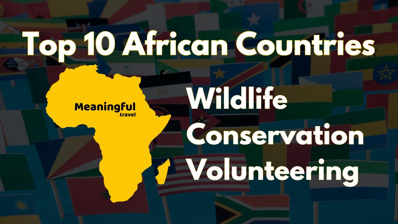 top 10 countries for wildlife conservation volunteering